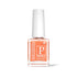 Colorich Vegan Nail Paint | 10ML